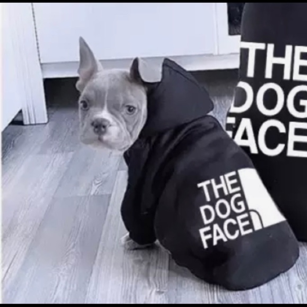 Hoodie Small Pet
